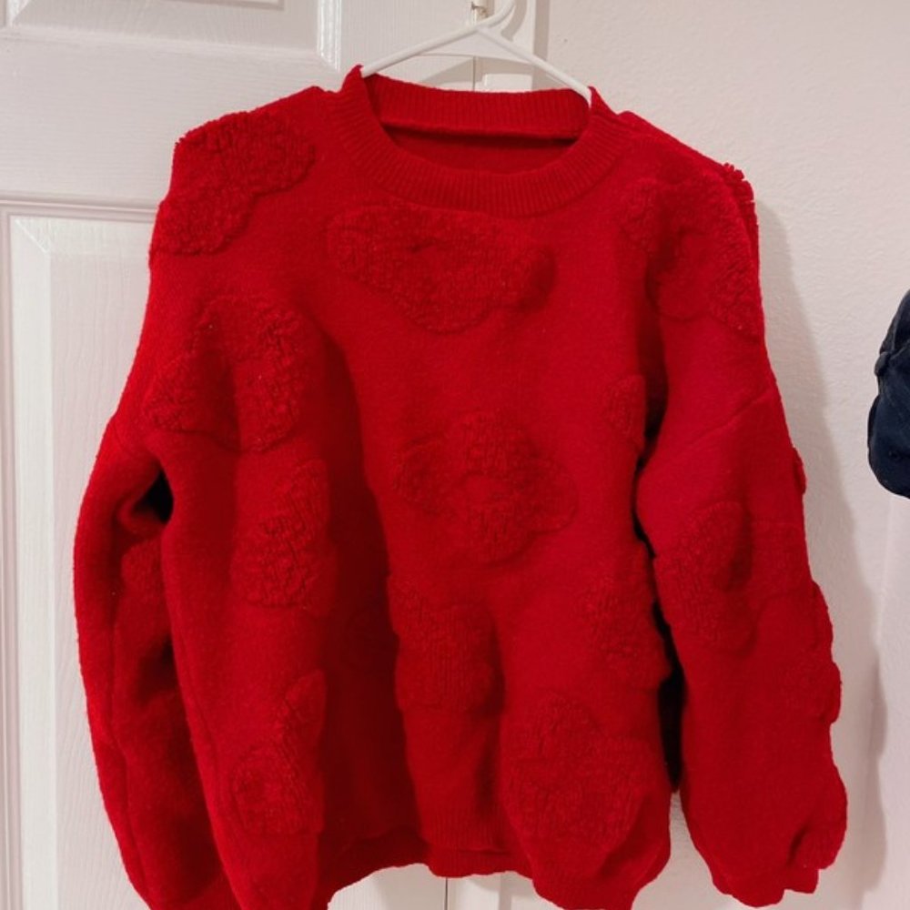 Red sweater for christmas